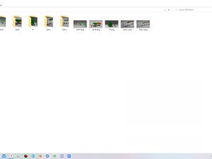 pacote de &aacute;rvore Modelo 3D