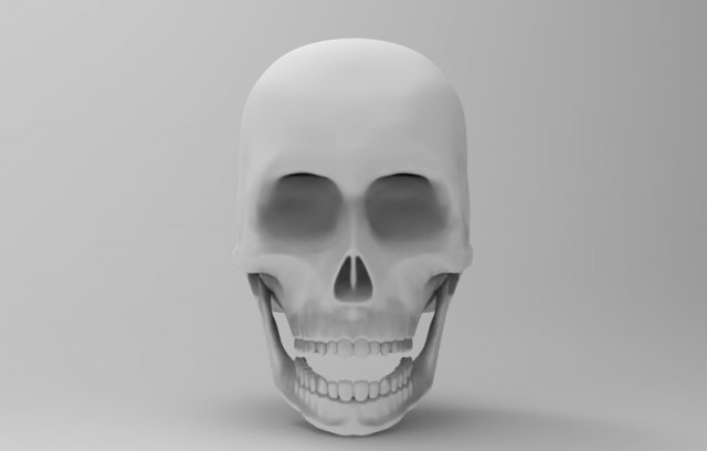 skul 3D 模型 .c4d .max .obj .3ds .fbx .stl .blend 