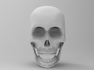 skul Modello 3D