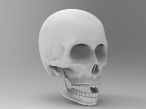 skul 3D 模型