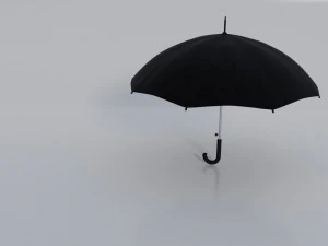 काली छतरी 3D मॉडल