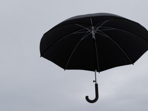black umbrella 3D Model