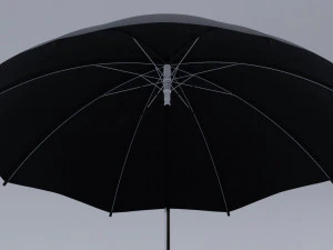 black umbrella 3D Model