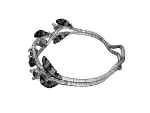 leafs and diamonds ring 3D 模型