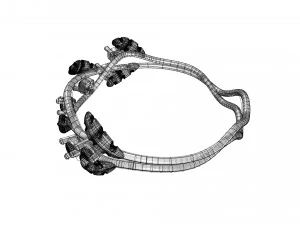 leafs and diamonds ring 3D Model