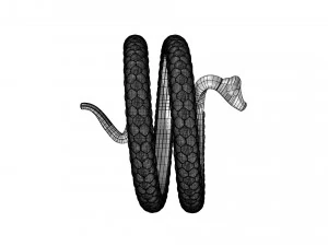 змійове кільце 3D Модель