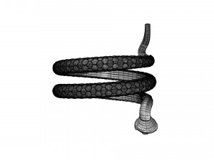 snake ring Modelo 3D