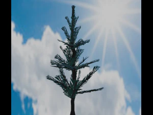 Tree Spruce 3D Model