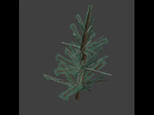 Tree Spruce 3D Model