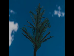 Tree Spruce 3D Model