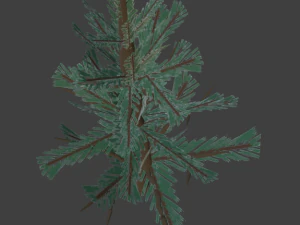 Tree Spruce 3D Model