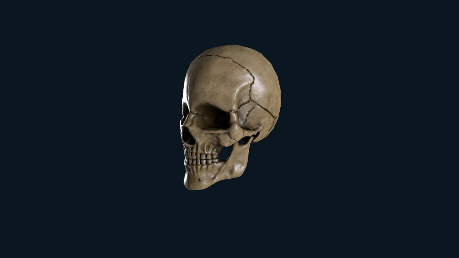 skull 3D Model .c4d .max .obj .3ds .fbx .stl .blend 