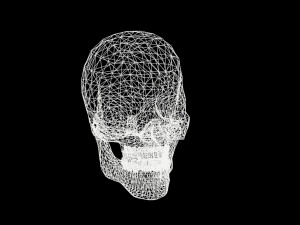 skull 3D Model