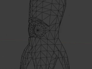 octopus low 3D Model