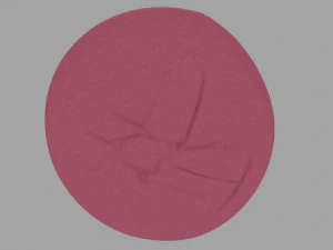 beanbag 3D Model