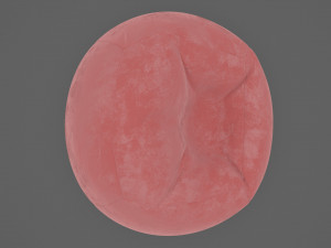 beanbag 3D Model