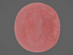 beanbag 3D Model