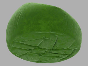 फलियों का थैला 3D मॉडल