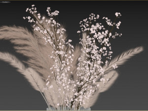 Decorative pampas bouquet Modello 3D