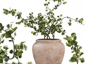 Planta de arbusto de malla de alambre en maceta sint&eacute;tica Modelo 3D