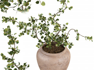 Faux Potted Wire Netting Bush Plant 3D 模型