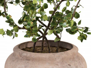 Faux Potted Wire Netting Bush Plant 3D Model