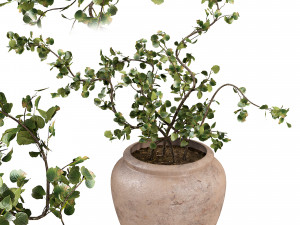 Faux Potted Wire Netting Bush Plant 3D 模型