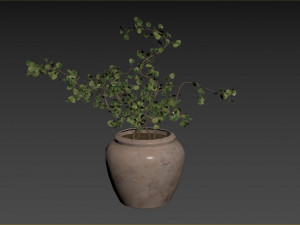 Faux Potted Wire Netting Bush Plant 3D 模型
