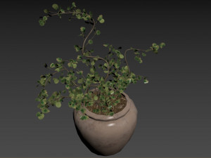 Faux Potted Wire Netting Bush Plant 3D 模型