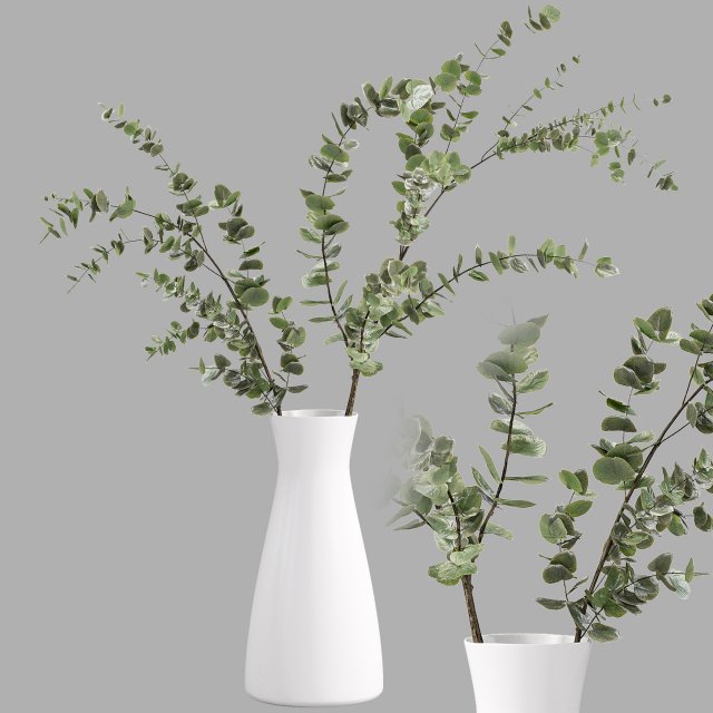 Faux Eucalyptus Branch 3D Model .c4d .max .obj .3ds .fbx .stl .blend 