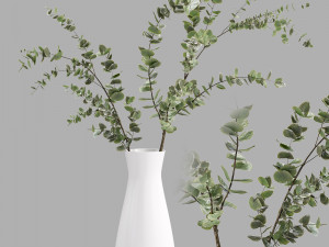Faux Eucalyptus Branch 3D Model
