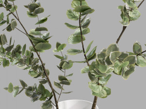 Faux Eucalyptus Branch 3D Model