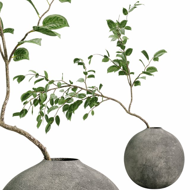 Faux Manzanita Bean Leaf Branch 3D Model .c4d .max .obj .3ds .fbx .stl .blend 