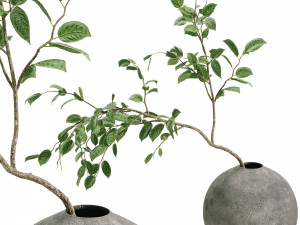 Faux Manzanita Bean Leaf Branch 3D Model