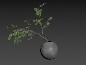Faux Manzanita Bean Leaf Branch 3D Model