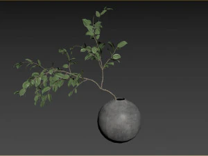 Ветка листьев фасоли искусственной мансаниты 3D Модель