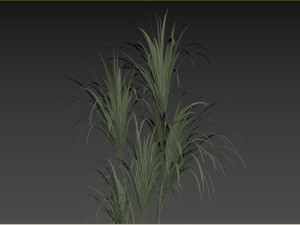 Faux Potted Dracaena Plant 3D Model