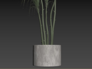 Faux Potted Dracaena Plant 3D Model