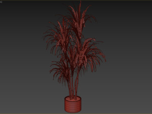 Faux Potted Dracaena Plant 3D Model