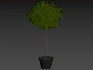 Planta Arbustiva Modelo 3D