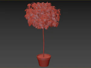 Planta Arbustiva Modelo 3D