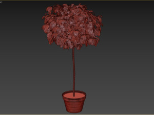 Bush Plant Modelo 3D