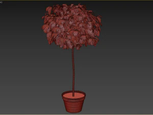 Planta Arbustiva Modelo 3D