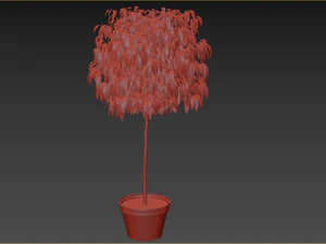 Bush Plant 3D Model