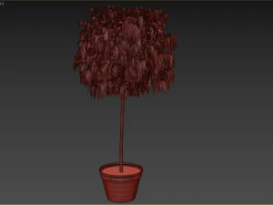 Bush Plant 3D Model