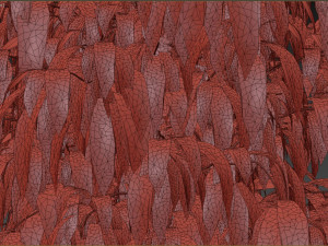 Bush Plant 3D 模型