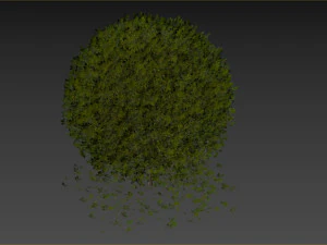 Boxwood Ball Plant 3D Model