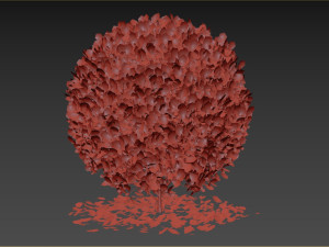 Boxwood Ball Plant Modelo 3D