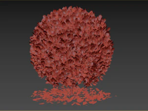 Boxwood Ball Plant 3D Model
