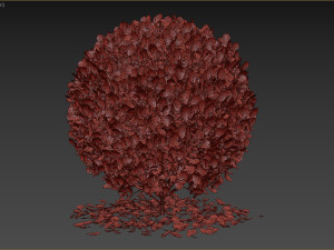 Boxwood Ball Plant Modelo 3D